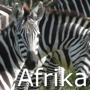 Rondreis Afrika